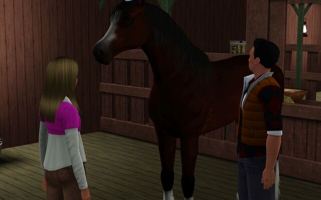 File:Eliza Peter Horse.jpg