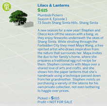Lilacs & Lanterns