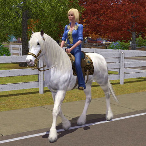 File:Horse-riding.jpg