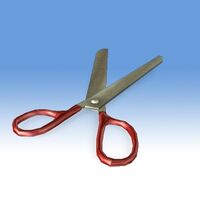 Runwithscissors