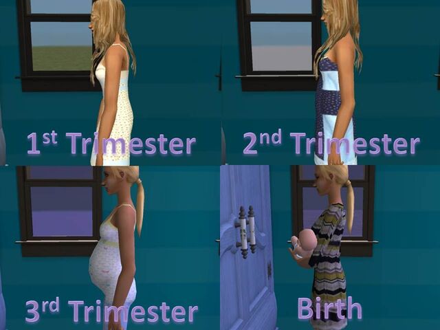 File:Pregnancy Cycle.jpg
