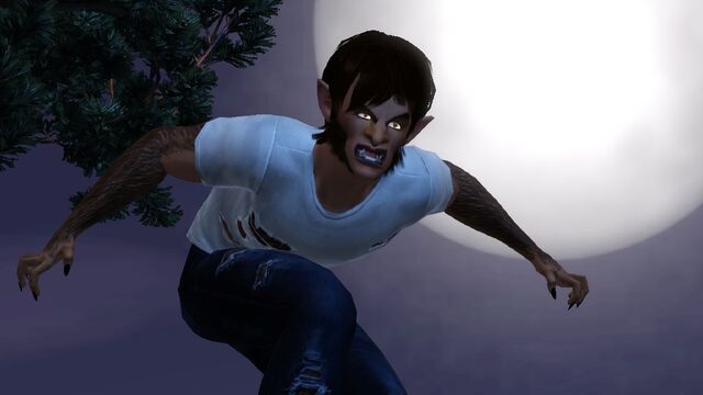 File:Spell-Caster's First Avatar.jpg