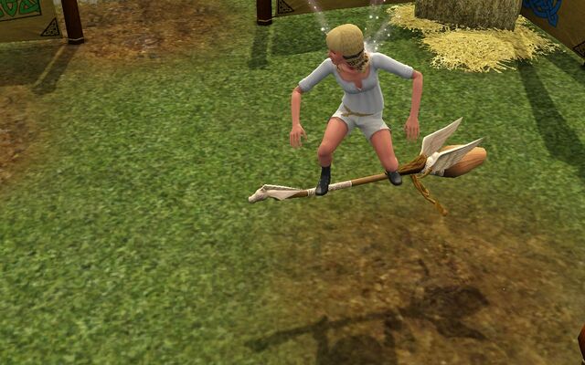 File:Flying.jpg