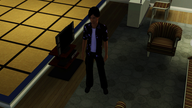 File:Acewilde.png