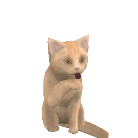 File:Caty Headshoot 1.png
