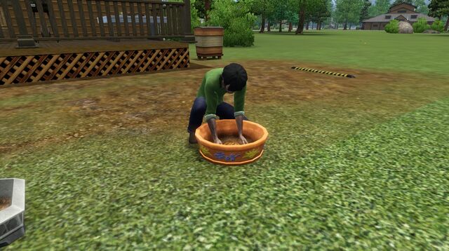 File:Werewolfplantingplanttotgbowls.jpg