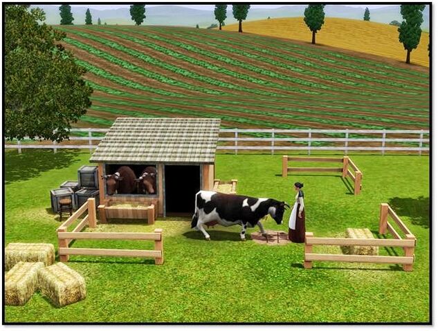 File:Cow store content 2.jpg
