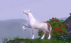 Unicorn