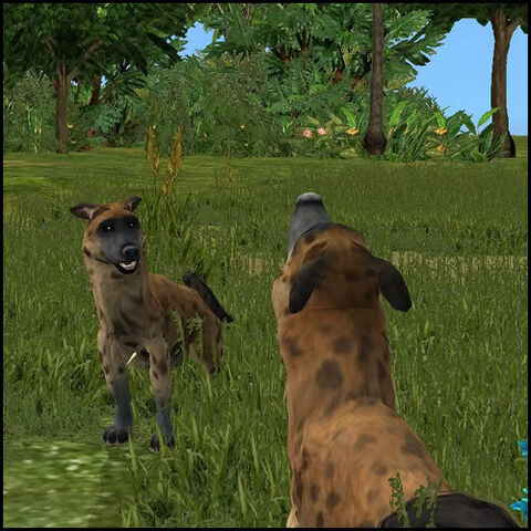 File:Hyena 1.jpg