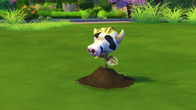 File:Baby Cowplant.png
