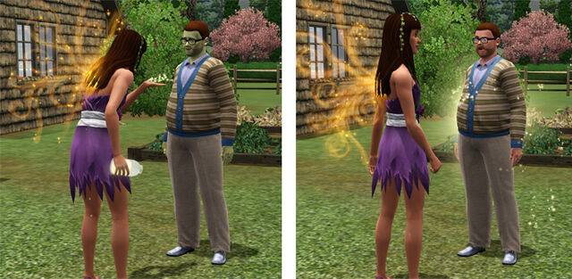 File:Fairy curing the zombification.jpg