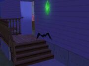 Une chauve-souris.jpg