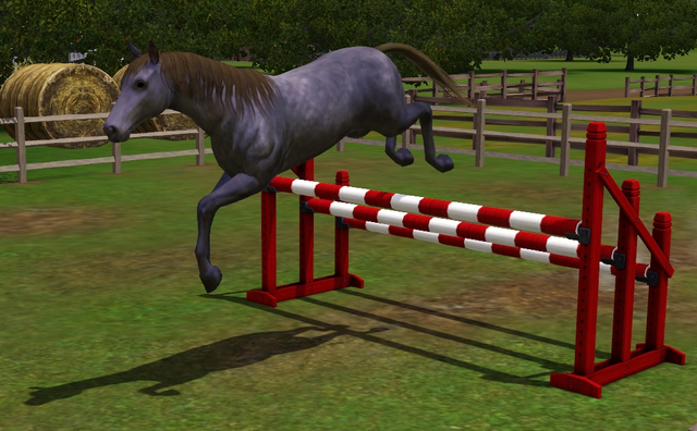 File:Horse Jumping.png