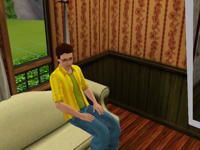File:Mysim.jpg