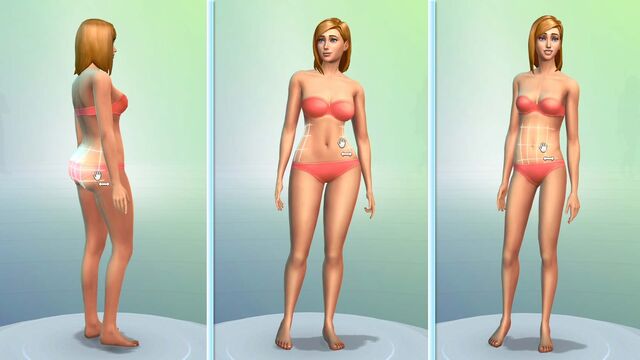 Fil:TS4.010.CAS5 .jpg