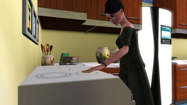 File:Check out the stove.jpg