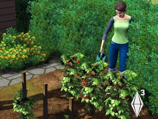 File:SIMS3GARDEN2.jpg