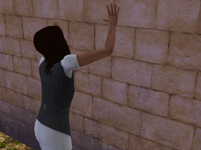 File:Hidden Door.jpg