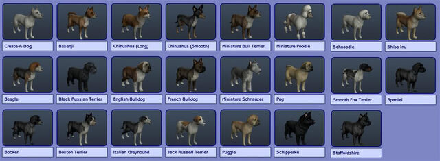 File:SmallDogs.jpg