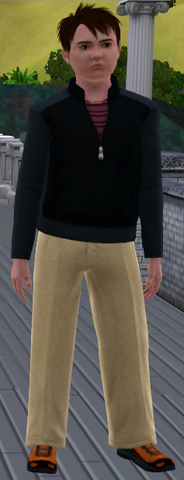 File:Dallas in game.png