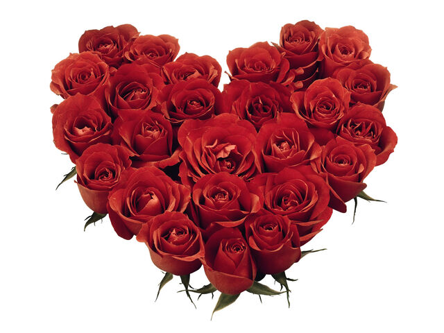 File:Rose heart.jpg