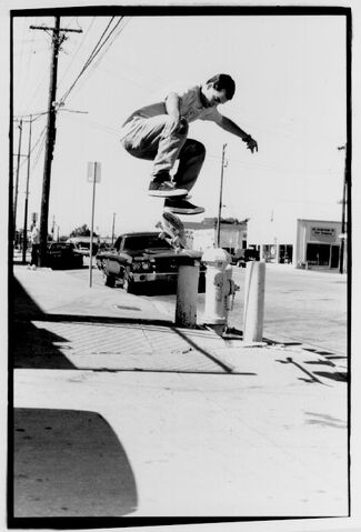 File:TimHeelFlip.jpg