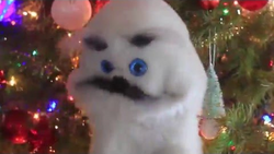 Finney Christmas