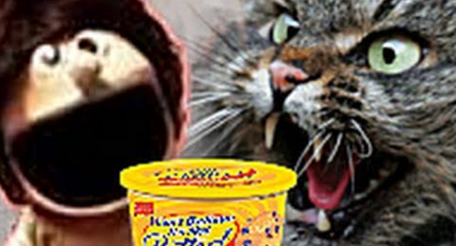 File:Butter.png