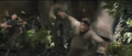 Thumbnail for version as of 00:42, February 13, 2014