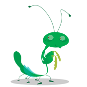 Prayingmantis