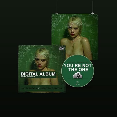 File:NTMT Deluxe.jpg