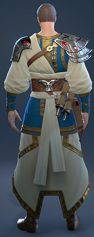 File:TravelerCostume Male back.png