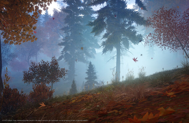 File:Autumn forest.jpg