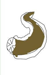 1417662374897
