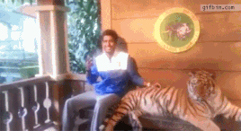 1355768533 posing with tiger fail
