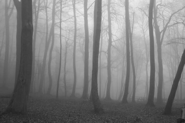 File:Slender Man 19.jpg