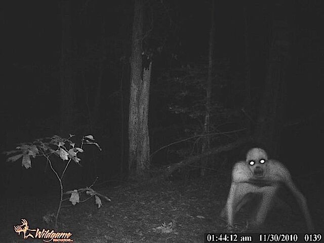 File:The Rake Real.jpg