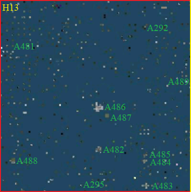 File:SH13.png