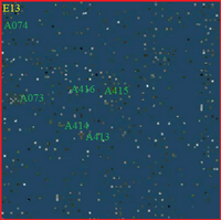 SE13