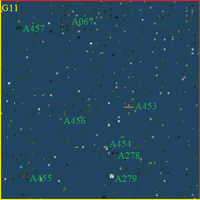 SG11