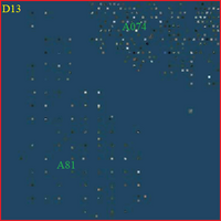 SD13
