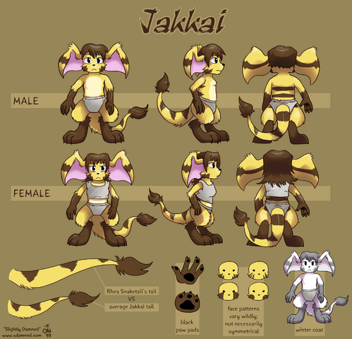 File:Jakkai Art Reference.png