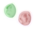 Thumbnail for version as of 16:59, August 3, 2012