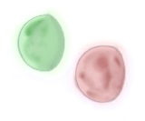 File:MediusSky SiteBackgroundMoons.png