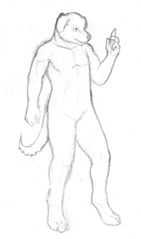 File:Bones 1.jpg