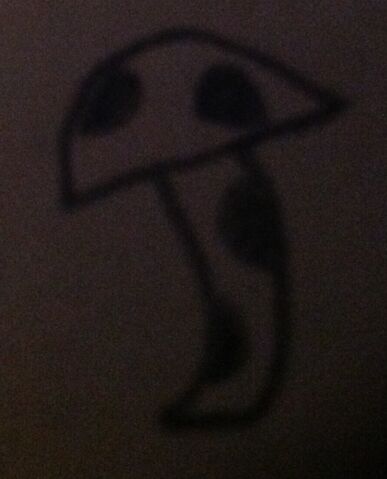 File:Fungus Shroom.jpeg