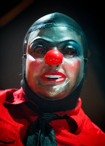 File:ShawnMask2009.jpg