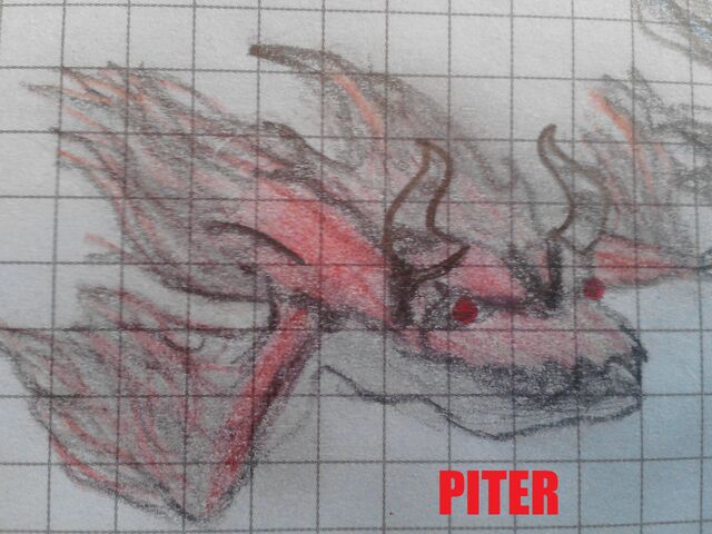 Plik:PYRINGO.jpg