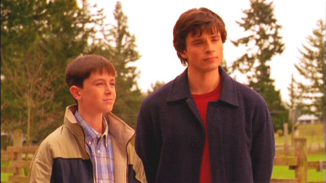 File:Stray3.jpg