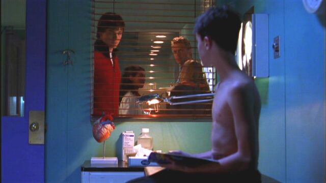 File:Stray1.jpg